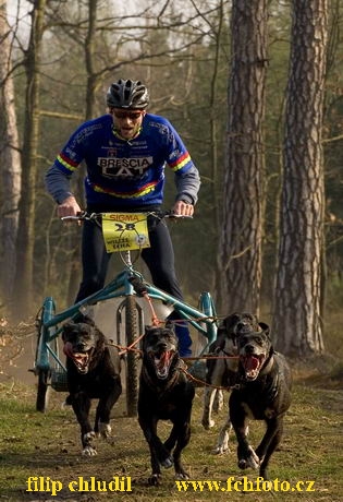 Polsko 2005 - 462.jpg